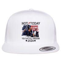 Not Today You CanT Kill Freedom Flat Bill Trucker Hat