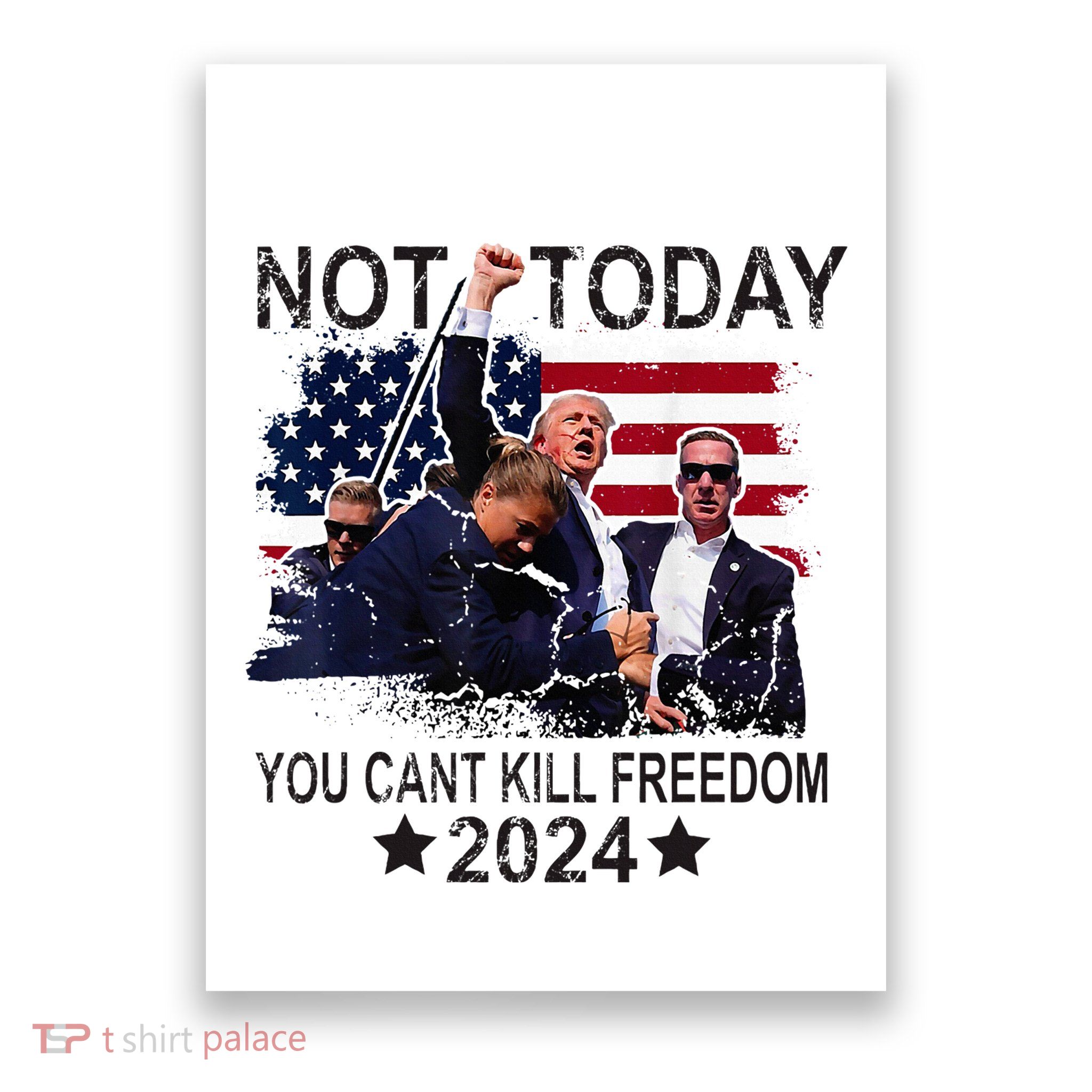 Not Today You CanT Kill Freedom Poster