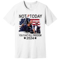 Not Today You CanT Kill Freedom Premium T-Shirt