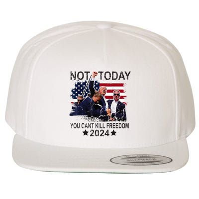Not Today You CanT Kill Freedom Wool Snapback Cap