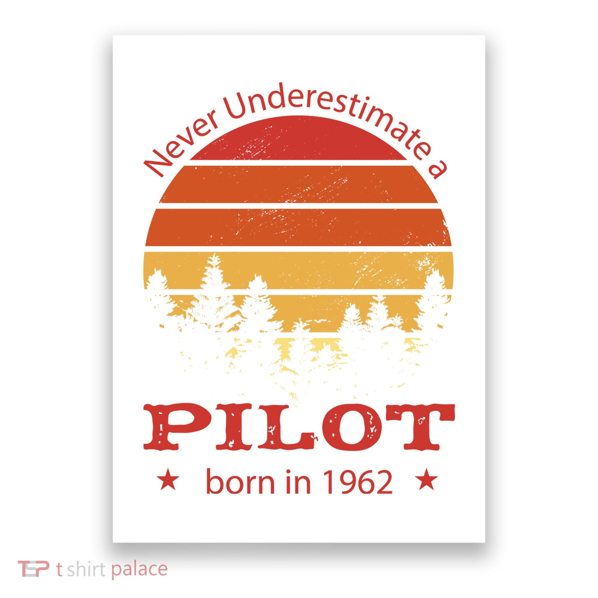 Never Underestimate A Pilot Born In 1962 Poster