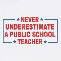 Never Underestimate A Public School Teacher T-Shirt