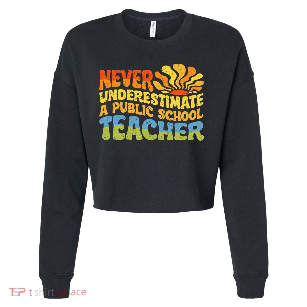 Never Underestimate A Public School Teacher Public Education Cropped Pullover Crew