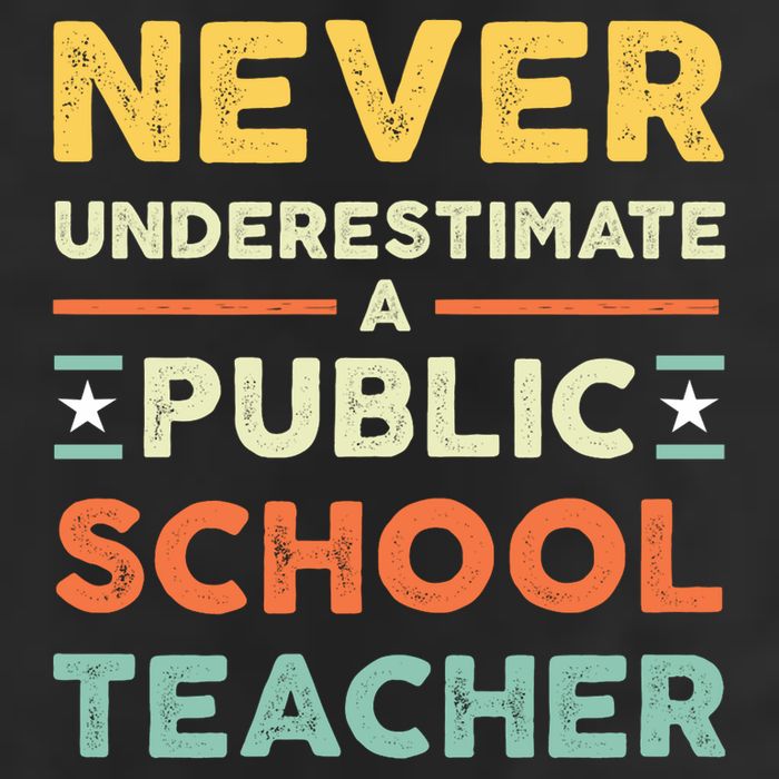 Never Underestimate A Public School Teacher 7 Panel Mesh Trucker Snapback Hat
