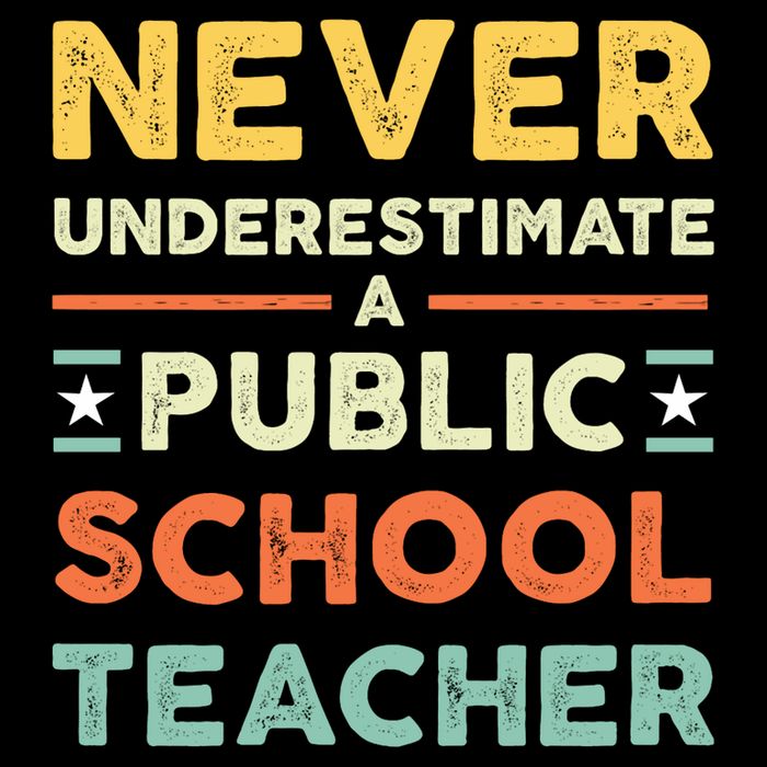 Never Underestimate A Public School Teacher Poster