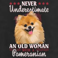 Never Underestimate An Old Woman With Pomeranian Adult Drive Performance Visor