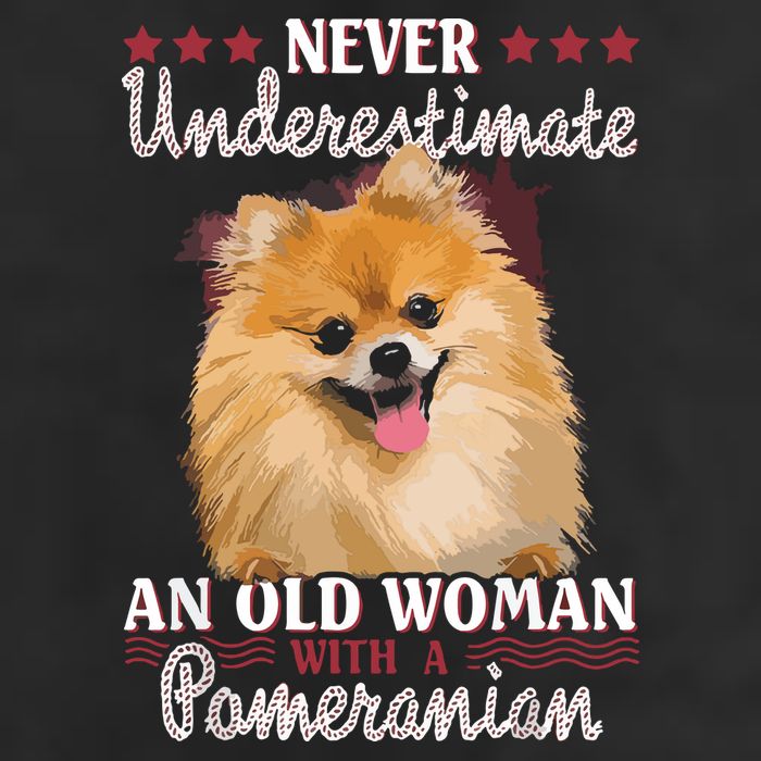 Never Underestimate An Old Woman With Pomeranian Adult Drive Performance Visor