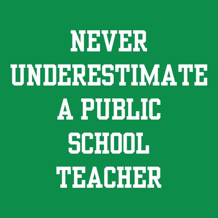 Never Underestimate A Public School Teacher T-Shirt
