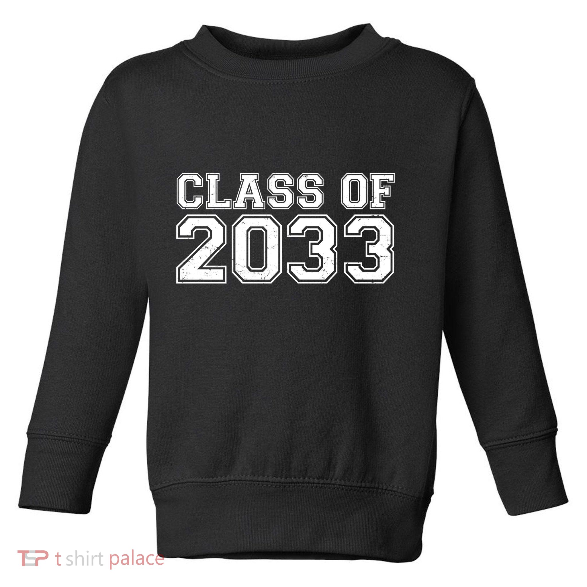 Nurture Class Of 2033 Teacher Students Toddler Sweatshirt