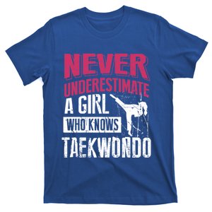 Never Underestimate Taekwondo Gift Cute Student Gift Cool Gift T-Shirt