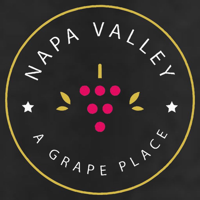 Napa Valley A Grape Place Wine Country Souvenir Hat