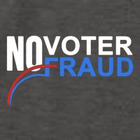 No Voter Fraud Election Vector Backpack