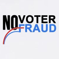 No Voter Fraud Election Cooling Performance Crew T-Shirt