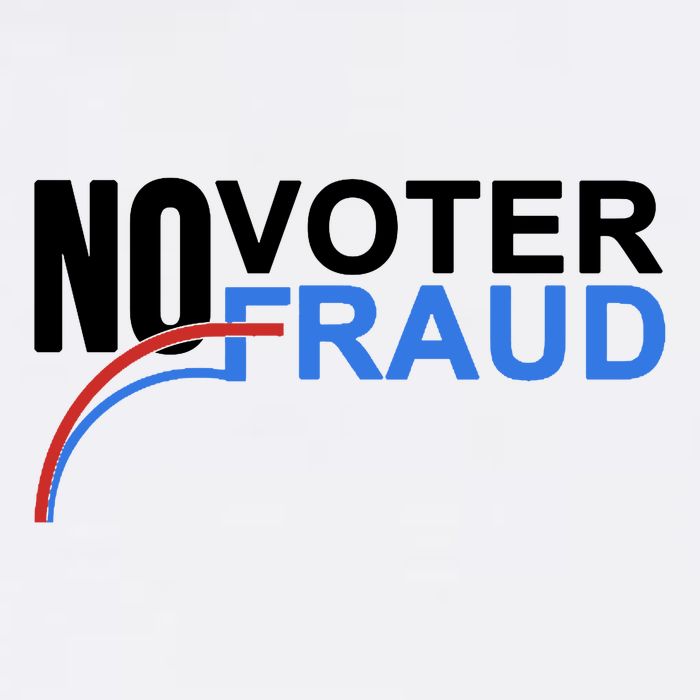 No Voter Fraud Election Cooling Performance Crew T-Shirt