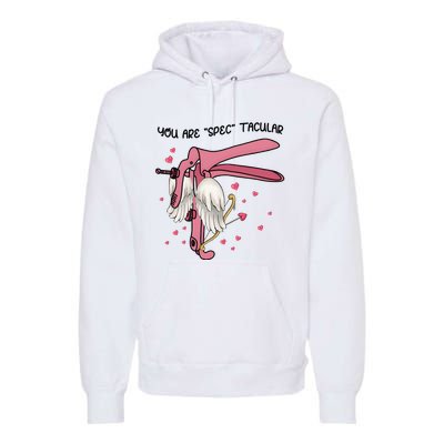 Nurse Valentine Labor And Delivery Nurse Premium Hoodie