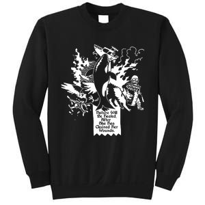 Nature Will Be Healed After She Has Cleaned Her Wounds Sweatshirt