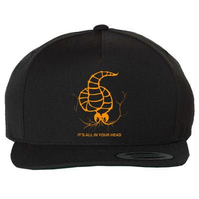 Neurax Worm Wool Snapback Cap