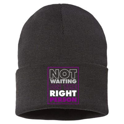 Not Waiting On The Right Person Funny Asexual Pride Sustainable Knit Beanie