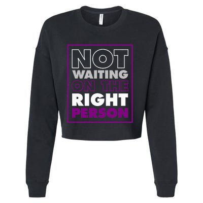 Not Waiting On The Right Person Funny Asexual Pride Stuff Cropped Pullover Crew