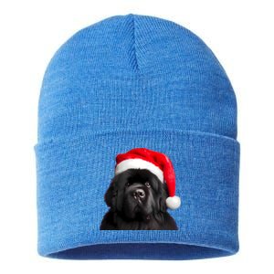 Newfoundland With Santa Hat Christmas Xmas Dog Owner Mom Gift Sustainable Knit Beanie