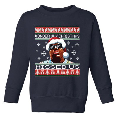 Notorious Wonder Why Christmas Missed Us Ugly Toddler Sweatshirt