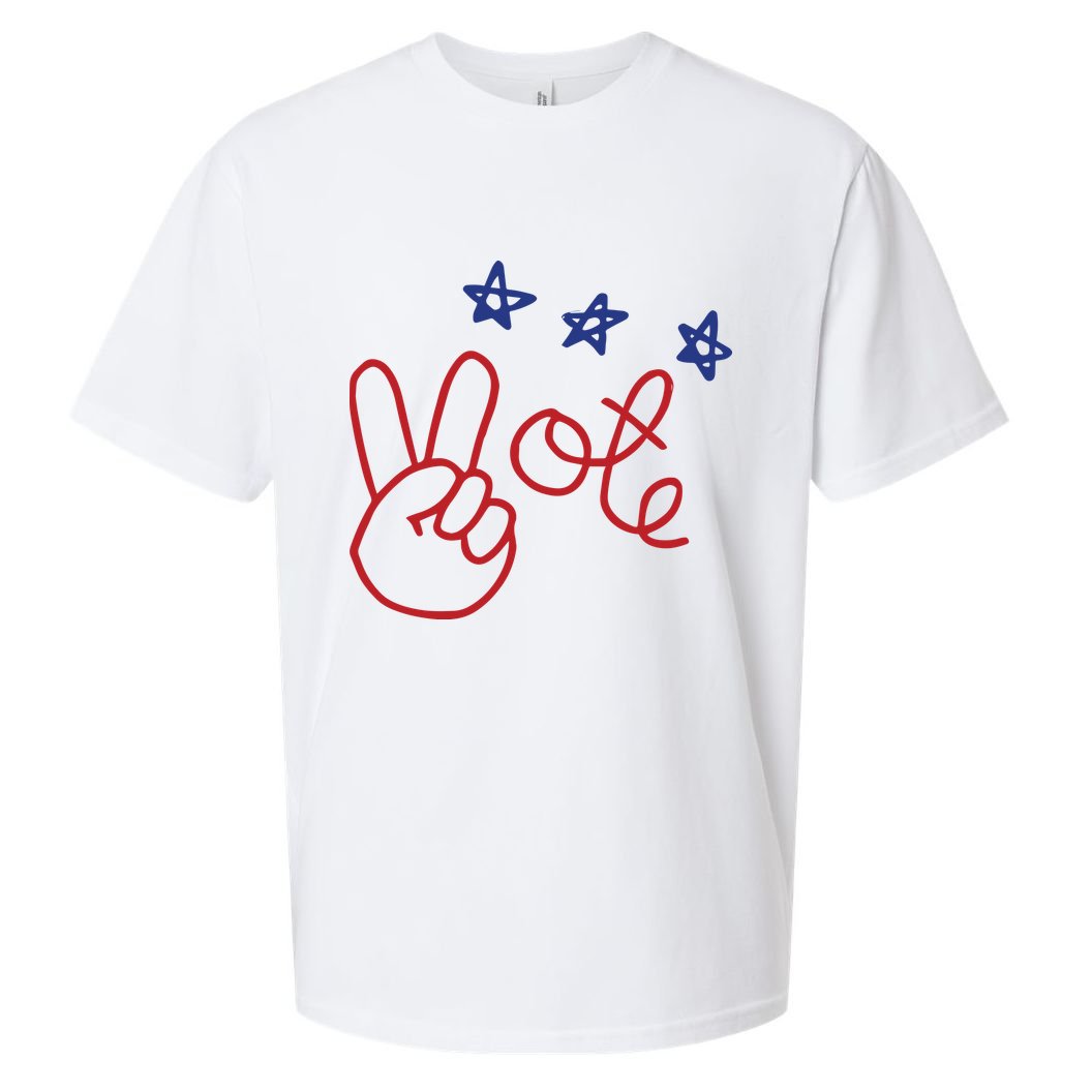 Nicolle Wallace Wearing Peace Vote Sueded Cloud Jersey T-Shirt