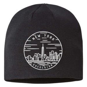 New York 1788 State Of New York Sustainable Beanie