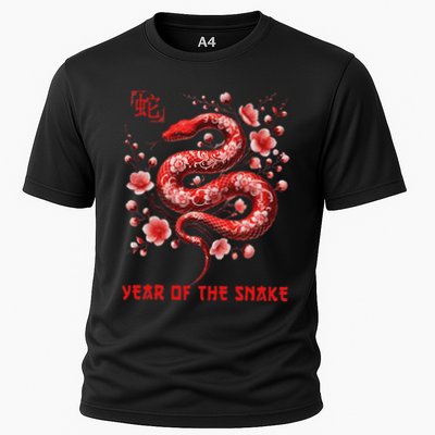 New Year 2025 Year Of The Snake Zodiac Sign Performance Shirt