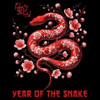 New Year 2025 Year Of The Snake Zodiac Sign Sustainable Bucket Hat