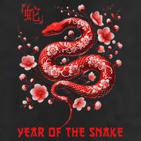 New Year 2025 Year Of The Snake Zodiac Sign 11oz C Handle Ceramic Mug