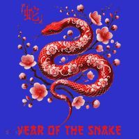 New Year 2025 Year Of The Snake Zodiac Sign Premium T-Shirt