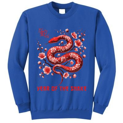 New Year 2025 Year Of The Snake Zodiac Sign Tall Sweatshirt
