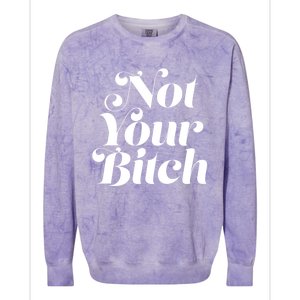 Not Your Bitch Funny S Rights Gift Colorblast Crewneck Sweatshirt