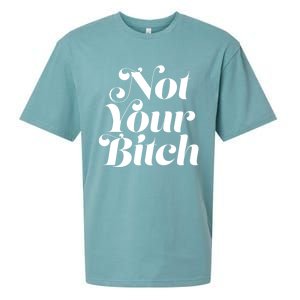 Not Your Bitch Funny S Rights Gift Sueded Cloud Jersey T-Shirt