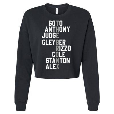 New York Baseball Player Name Cropped Pullover Crew