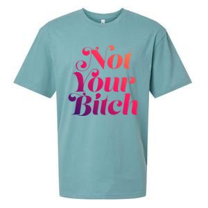 Not Your Bitch Funny S Rights Gift Sueded Cloud Jersey T-Shirt