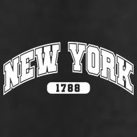 New York Collegiate Style 1788 Adult Drive Performance Visor