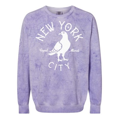 New York City Pigeon Nyc Animals And Birds Colorblast Crewneck Sweatshirt