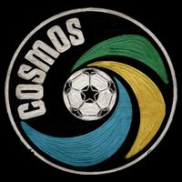 New York Cosmos Soccer Impact Tech Backpack