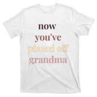 Now YouVe Pissed Off Grandma Political Protest Rally March T-Shirt