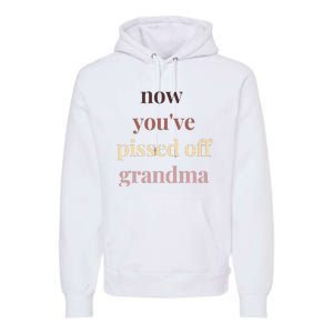 Now YouVe Pissed Off Grandma Political Protest Rally March Premium Hoodie