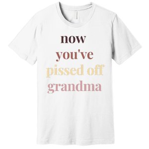 Now YouVe Pissed Off Grandma Political Protest Rally March Premium T-Shirt