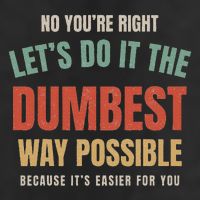 No You're Right Let's Do It The Dumbest Way Possible Funny Trucker Hat