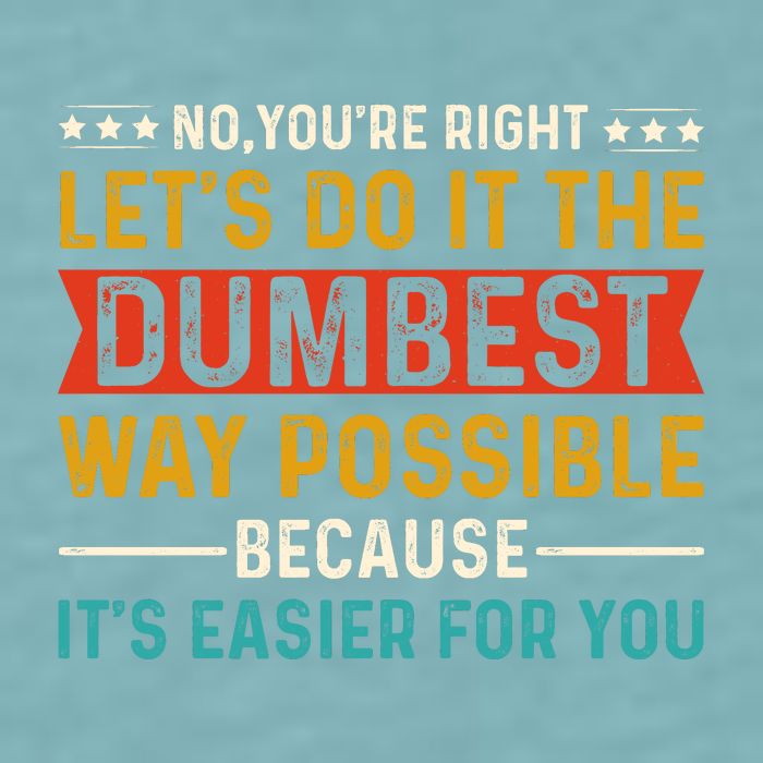 No Youre Right Lets Do It The Dumbest Way Possible Sueded Cloud Jersey T-Shirt
