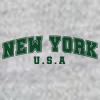 New York USA Premium T-Shirt