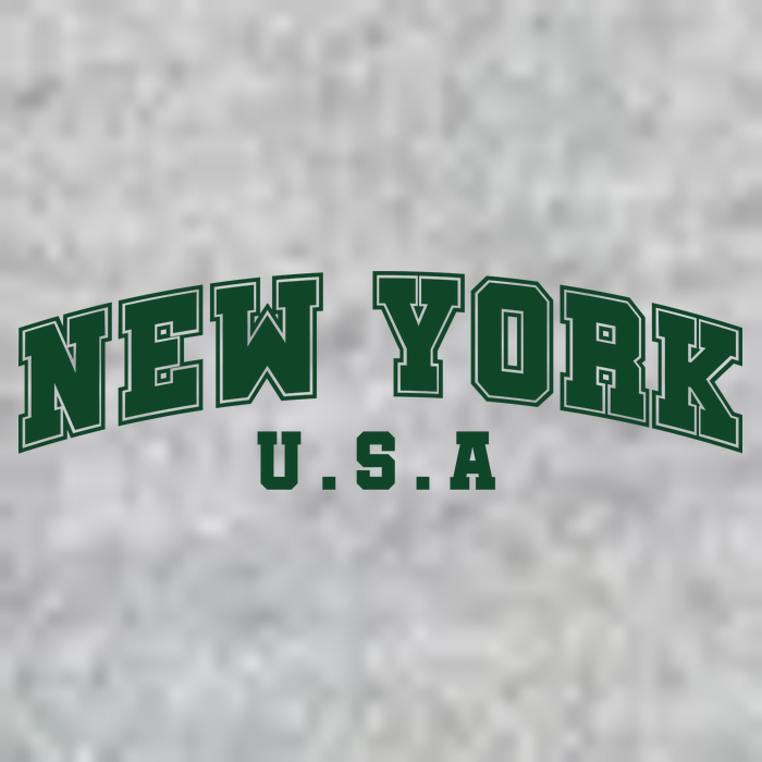 New York USA Premium T-Shirt
