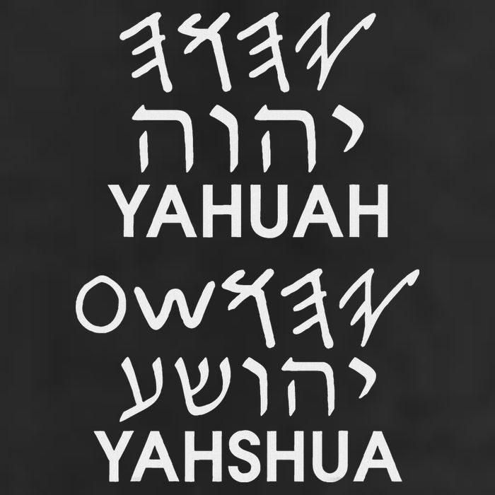 Name Yahuah Yahshua Paleo Hebrew 7 Panel Mesh Trucker Snapback Hat