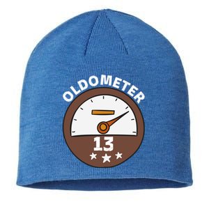 Oldometer 13 Great Gift Sustainable Beanie