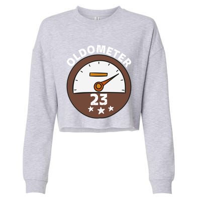 Oldometer 23 Meaningful Gift Cropped Pullover Crew