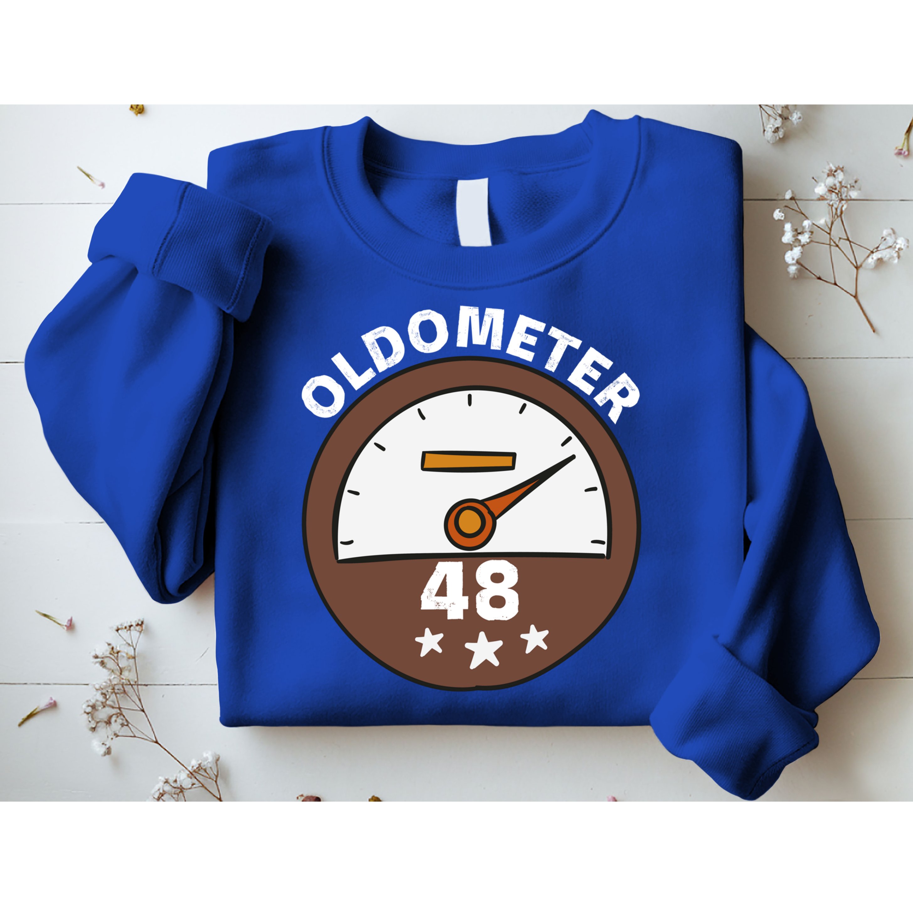 Oldometer 48 Gift Sweatshirt